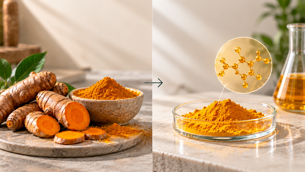 Turmeric vs Curcumin: What's the Real Difference (And Why It Matters)